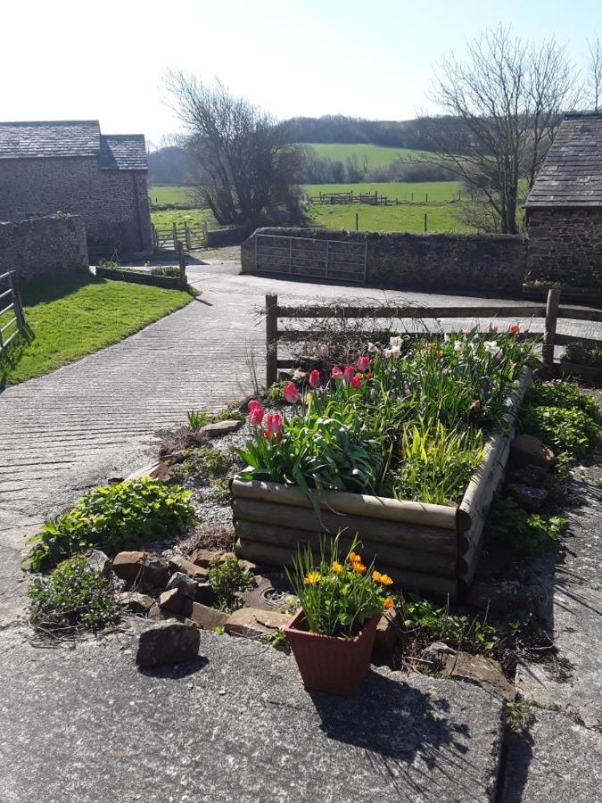 Sharlands Farm Bed And Breakfast 뷰드 외부 사진